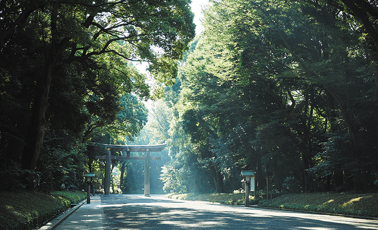 FOREST TERRACE MEIJI JINGU
