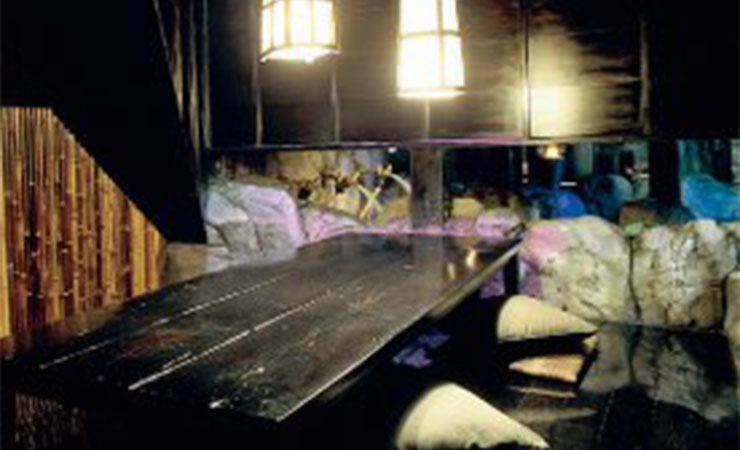 NINJA TOKYO